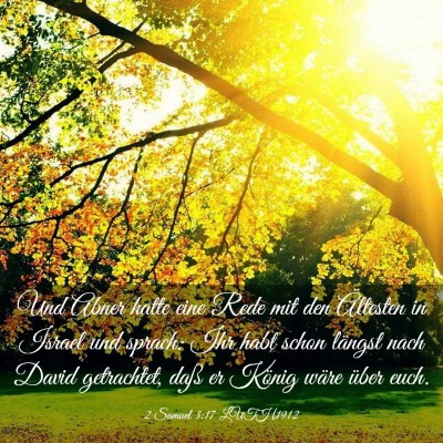 Picture 03 - 2 Samuel 3:17 LUTH1912 - Und Abner hatte eine Rede mit den Ältesten in - Bible Verse Picture
