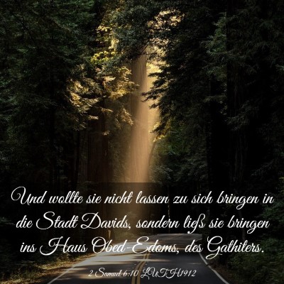Picture 03 - 2 Samuel 6:10 LUTH1912 - Und wollte sie nicht lassen zu sich bringen in - Bible Verse Picture