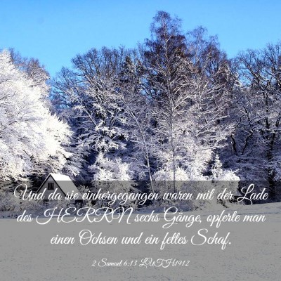 Picture 03 - 2 Samuel 6:13 LUTH1912 - Und da sie einhergegangen waren mit der Lade des - Bible Verse Picture