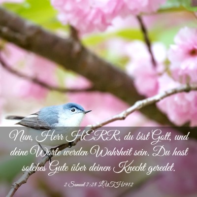 Picture 03 - 2 Samuel 7:28 LUTH1912 - Nun, Herr HERR, du bist Gott, und deine Worte - Bible Verse Picture