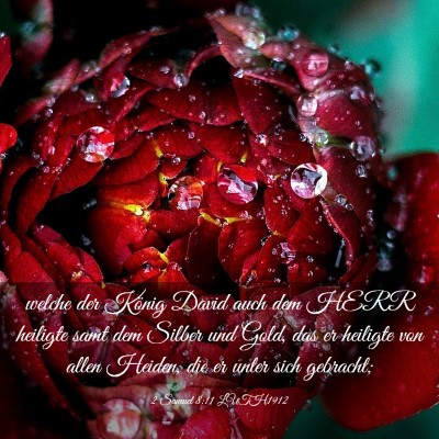 Picture 03 - 2 Samuel 8:11 LUTH1912 - welche der König David auch dem HERR heiligte - Bible Verse Picture