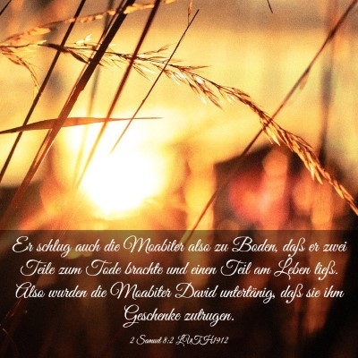 Picture 03 - 2 Samuel 8:2 LUTH1912 - Er schlug auch die Moabiter also zu Boden, daß - Bible Verse Picture