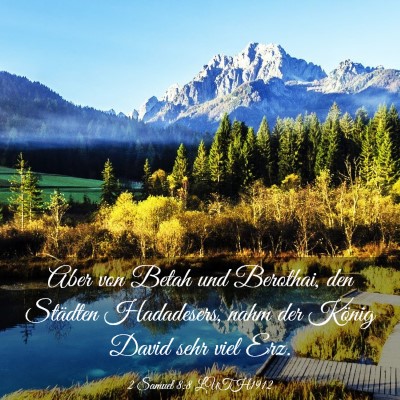 Picture 03 - 2 Samuel 8:8 LUTH1912 - Aber von Betah und Berothai, den Städten - Bible Verse Picture