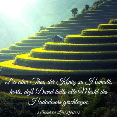 Picture 03 - 2 Samuel 8:9 LUTH1912 - Da aber Thoi, der König zu Hamath, hörte, daß - Bible Verse Picture
