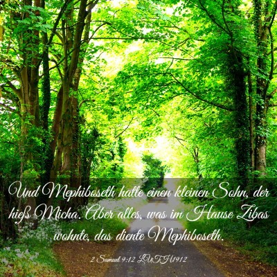 Picture 03 - 2 Samuel 9:12 LUTH1912 - Und Mephiboseth hatte einen kleinen Sohn, der - Bible Verse Picture