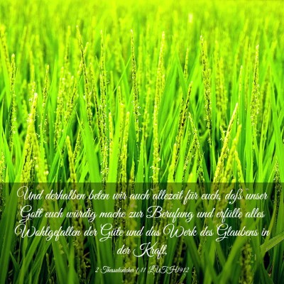 Picture 03 - 2 Thessalonicher 1:11 LUTH1912 - Und derhalben beten wir auch allezeit für euch, - Bible Verse Picture