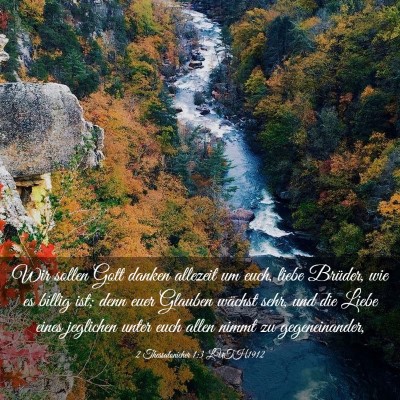 Picture 03 - 2 Thessalonicher 1:3 LUTH1912 - Wir sollen Gott danken allezeit um euch, liebe - Bible Verse Picture