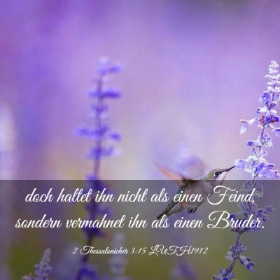 Picture 03 - 2 Thessalonicher 3:15 LUTH1912 - doch haltet ihn nicht als einen Feind, sondern - Bible Verse Picture
