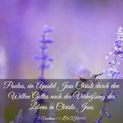 Picture 03 - 2 Timotheus 1:1 LUTH1912 - Paulus, ein Apostel Jesu Christi durch den Willen - Bible Verse Picture