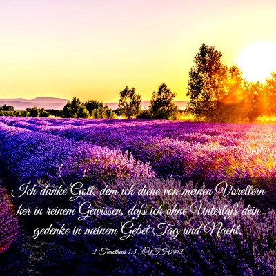 Picture 03 - 2 Timotheus 1:3 LUTH1912 - Ich danke Gott, dem ich diene von meinen - Bible Verse Picture