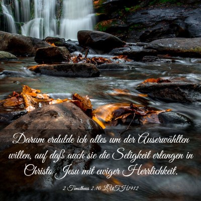 Picture 03 - 2 Timotheus 2:10 LUTH1912 - Darum erdulde ich alles um der Auserwählten - Bible Verse Picture
