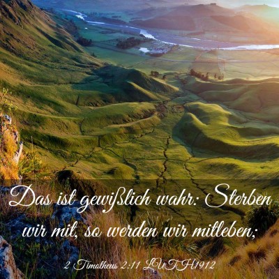Picture 03 - 2 Timotheus 2:11 LUTH1912 - Das ist gewißlich wahr: Sterben wir mit, so - Bible Verse Picture