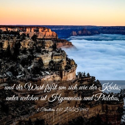 Picture 03 - 2 Timotheus 2:17 LUTH1912 - und ihr Wort frißt um sich wie der Krebs; unter - Bible Verse Picture