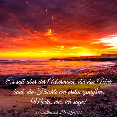 Picture 03 - 2 Timotheus 2:6 LUTH1912 - Es soll aber der Ackermann, der den Acker baut, - Bible Verse Picture