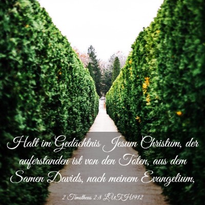 Picture 03 - 2 Timotheus 2:8 LUTH1912 - Halt im Gedächtnis Jesum Christum, der - Bible Verse Picture