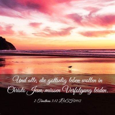 Picture 03 - 2 Timotheus 3:12 LUTH1912 - Und alle, die gottselig leben wollen in Christo - Bible Verse Picture