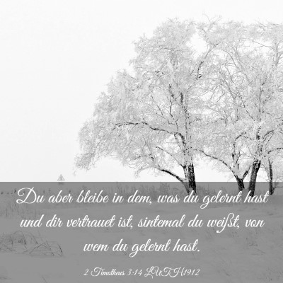Picture 03 - 2 Timotheus 3:14 LUTH1912 - Du aber bleibe in dem, was du gelernt hast und - Bible Verse Picture