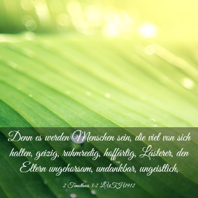 Picture 03 - 2 Timotheus 3:2 LUTH1912 - Denn es werden Menschen sein, die viel von sich - Bible Verse Picture