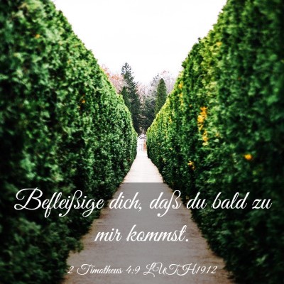 Picture 03 - 2 Timotheus 4:9 LUTH1912 - Befleißige dich, daß du bald zu mir - Bible Verse Picture