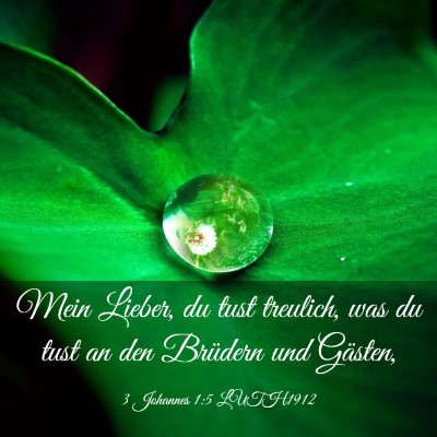 Picture 03 - 3 Johannes 1:5 LUTH1912 - Mein Lieber, du tust treulich, was du tust an den - Bible Verse Picture
