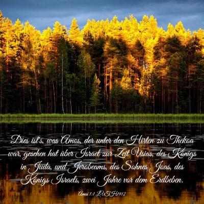 Picture 03 - Amos 1:1 LUTH1912 - Dies ist's, was Amos, der unter den Hirten zu - Bible Verse Picture