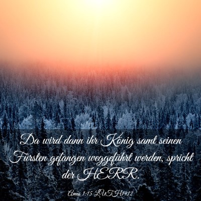 Picture 03 - Amos 1:15 LUTH1912 - Da wird dann ihr König samt seinen Fürsten - Bible Verse Picture