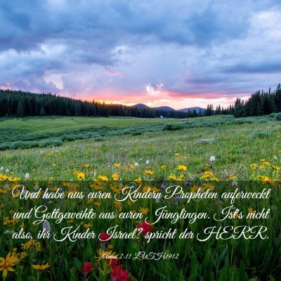 Picture 03 - Amos 2:11 LUTH1912 - Und habe aus euren Kindern Propheten auferweckt - Bible Verse Picture