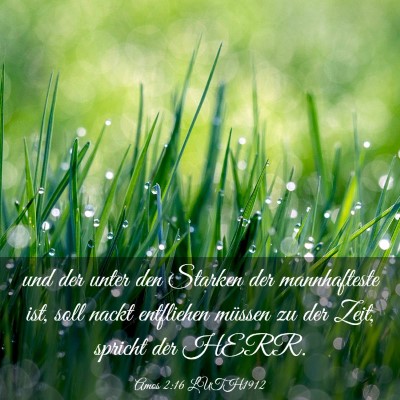 Picture 03 - Amos 2:16 LUTH1912 - und der unter den Starken der mannhafteste ist, - Bible Verse Picture