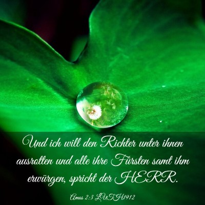 Picture 03 - Amos 2:3 LUTH1912 - Und ich will den Richter unter ihnen ausrotten - Bible Verse Picture