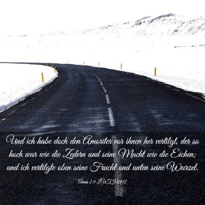 Picture 03 - Amos 2:9 LUTH1912 - Und ich habe doch den Amoriter vor ihnen her - Bible Verse Picture