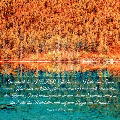 Picture 03 - Amos 3:12 LUTH1912 - So spricht der HERR: Gleichwie ein Hirte dem - Bible Verse Picture