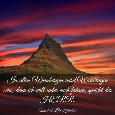 Picture 03 - Amos 5:17 LUTH1912 - In allen Weinbergen wird Wehklagen sein; denn ich - Bible Verse Picture