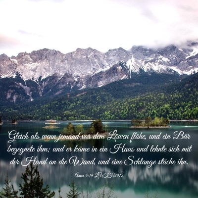 Picture 03 - Amos 5:19 LUTH1912 - Gleich als wenn jemand vor dem Löwen flöhe, und - Bible Verse Picture