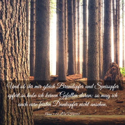 Picture 03 - Amos 5:22 LUTH1912 - Und ob ihr mir gleich Brandopfer und Speisopfer - Bible Verse Picture