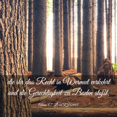 Picture 03 - Amos 5:7 LUTH1912 - die ihr das Recht in Wermut verkehrt und die - Bible Verse Picture