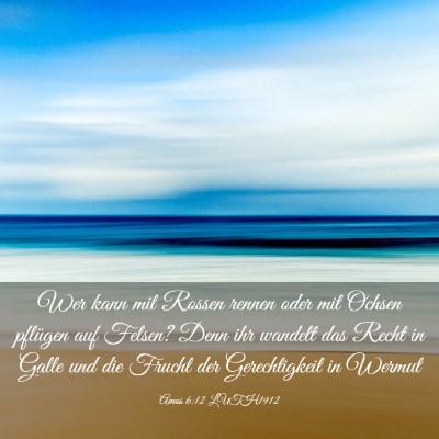 Picture 03 - Amos 6:12 LUTH1912 - Wer kann mit Rossen rennen oder mit Ochsen - Bible Verse Picture