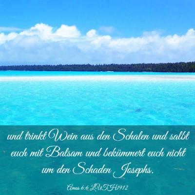 Picture 03 - Amos 6:6 LUTH1912 - und trinkt Wein aus den Schalen und salbt euch - Bible Verse Picture
