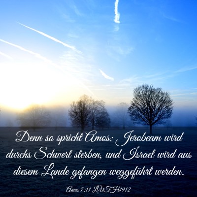 Picture 03 - Amos 7:11 LUTH1912 - Denn so spricht Amos: Jerobeam wird durchs - Bible Verse Picture