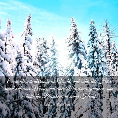 Picture 03 - Amos 7:7 LUTH1912 - Er zeigte mir abermals ein Gesicht, und siehe, - Bible Verse Picture