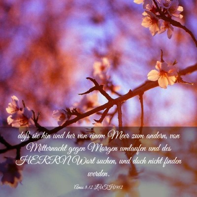 Picture 03 - Amos 8:12 LUTH1912 - daß sie hin und her von einem Meer zum andern, - Bible Verse Picture
