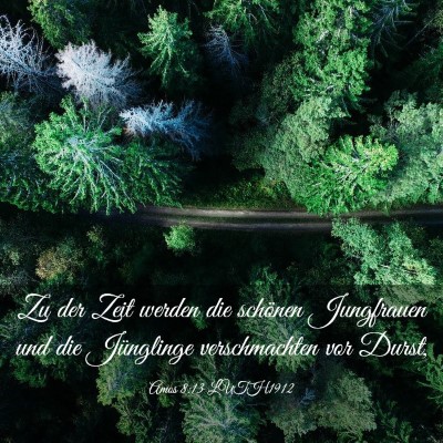 Picture 03 - Amos 8:13 LUTH1912 - Zu der Zeit werden die schönen Jungfrauen und - Bible Verse Picture