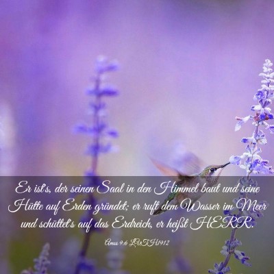 Picture 03 - Amos 9:6 LUTH1912 - Er ist's, der seinen Saal in den Himmel baut und - Bible Verse Picture