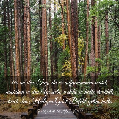 Picture 03 - Apostelgeschichte 1:2 LUTH1912 - bis an den Tag, da er aufgenommen ward, nachdem - Bible Verse Picture
