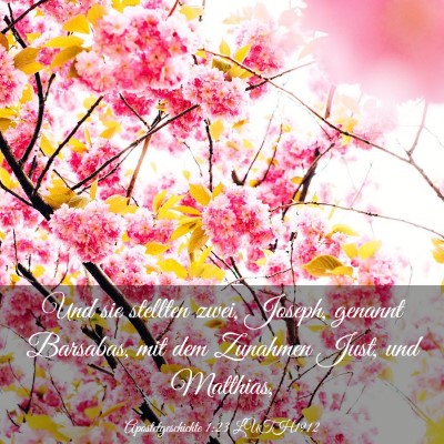 Picture 03 - Apostelgeschichte 1:23 LUTH1912 - Und sie stellten zwei, Joseph, genannt Barsabas, - Bible Verse Picture