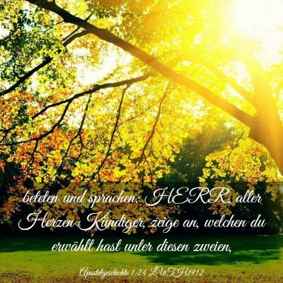 Picture 03 - Apostelgeschichte 1:24 LUTH1912 - beteten und sprachen: HERR, aller Herzen - Bible Verse Picture