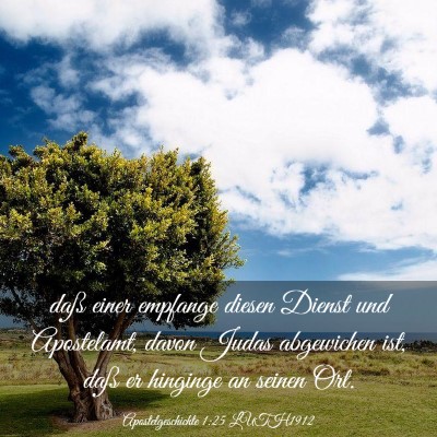 Picture 03 - Apostelgeschichte 1:25 LUTH1912 - daß einer empfange diesen Dienst und Apostelamt, - Bible Verse Picture