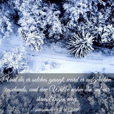 Picture 03 - Apostelgeschichte 1:9 LUTH1912 - Und da er solches gesagt, ward er aufgehoben - Bible Verse Picture