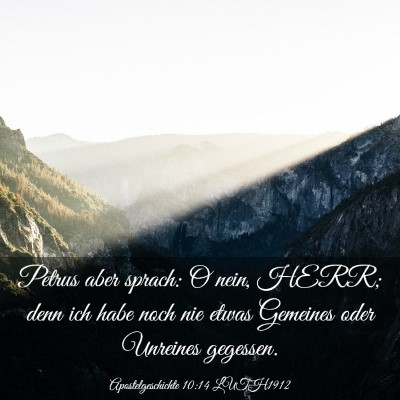 Picture 03 - Apostelgeschichte 10:14 LUTH1912 - Petrus aber sprach: O nein, HERR; denn ich habe - Bible Verse Picture