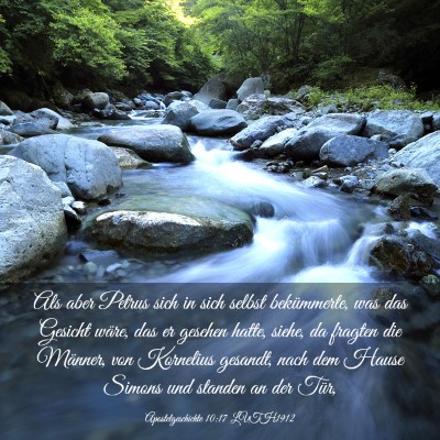 Picture 03 - Apostelgeschichte 10:17 LUTH1912 - Als aber Petrus sich in sich selbst bekümmerte, - Bible Verse Picture