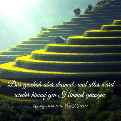 Picture 03 - Apostelgeschichte 11:10 LUTH1912 - Das geschah aber dreimal; und alles ward wieder - Bible Verse Picture